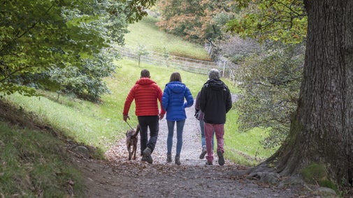 Three walkers with a dog walking on a path at Aira Force and Ullswater, Lake District